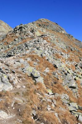 Vysoké Tatry, Kriváň, 22.10.2012
Malý Kriváň - biotop kovaříka Selatosomus confluens rugosus.



Klíčová slova: Vysoké Tatry Malý Kriváň Selatosomus confluens rugosus