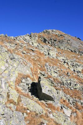Vysoké Tatry, Kriváň, 22.10.2012
Malý Kriváň - biotop kovaříka Selatosomus confluens rugosus.



Klíčová slova: Vysoké Tatry Malý Kriváň Selatosomus confluens rugosus
