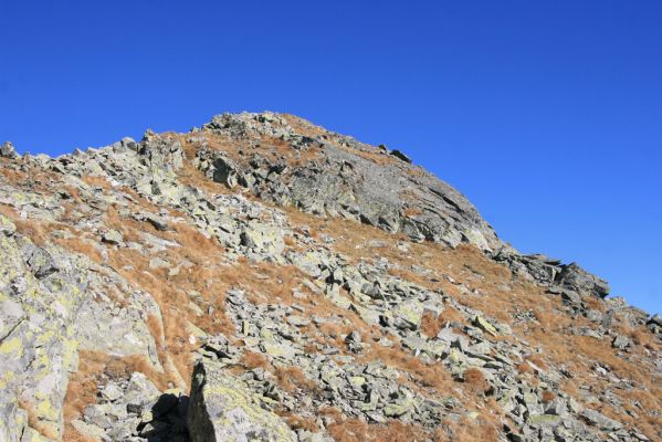 Vysoké Tatry, Kriváň, 22.10.2012
Malý Kriváň - biotop kovaříka Selatosomus confluens rugosus.



Klíčová slova: Vysoké Tatry Malý Kriváň Selatosomus confluens rugosus