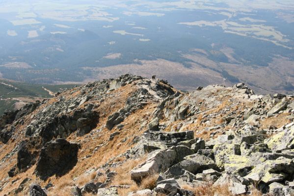 Vysoké Tatry, Kriváň, 22.10.2012
Malý Kriváň - biotop kovaříka Selatosomus confluens rugosus.



Schlüsselwörter: Vysoké Tatry Malý Kriváň Selatosomus confluens rugosus