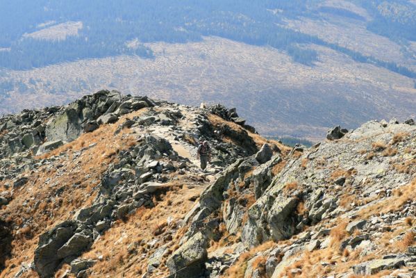 Vysoké Tatry, Kriváň, 22.10.2012
Malý Kriváň - biotop kovaříka Selatosomus confluens rugosus.


Klíčová slova: Vysoké Tatry Malý Kriváň Selatosomus confluens rugosus