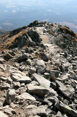 Vysoké Tatry, Kriváň, 22.10.2012
Malý Kriváň - biotop kovaříka Selatosomus confluens rugosus zničený novým turistickým chodníkem.



Klíčová slova: Vysoké Tatry Malý Kriváň Selatosomus confluens rugosus