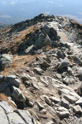 Vysoké Tatry, Kriváň, 22.10.2012
Malý Kriváň - biotop kovaříka Selatosomus confluens rugosus zničený novým turistickým chodníkem.



Klíčová slova: Vysoké Tatry Malý Kriváň Selatosomus confluens rugosus
