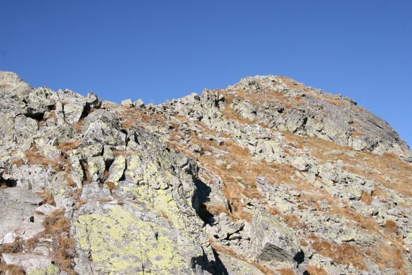 Vysoké Tatry, Kriváň, 22.10.2012
Malý Kriváň - biotop kovaříka Selatosomus confluens rugosus.



Schlüsselwörter: Vysoké Tatry Malý Kriváň Selatosomus confluens rugosus