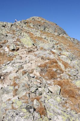 Vysoké Tatry, Kriváň, 22.10.2012
Malý Kriváň - biotop kovaříka Selatosomus confluens rugosus.


Klíčová slova: Vysoké Tatry Malý Kriváň Selatosomus confluens rugosus
