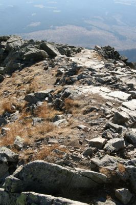 Vysoké Tatry, Kriváň, 22.10.2012
Malý Kriváň - biotop kovaříka Selatosomus confluens rugosus zničený novým turistickým chodníkem.



Klíčová slova: Vysoké Tatry Malý Kriváň Selatosomus confluens rugosus