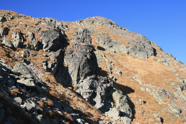 Vysoké Tatry, Kriváň, 22.10.2012
Malý Kriváň - biotop kovaříka Selatosomus confluens rugosus.



Klíčová slova: Vysoké Tatry Malý Kriváň Selatosomus confluens rugosus