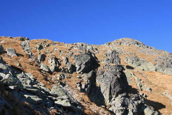 Vysoké Tatry, Kriváň, 22.10.2012
Malý Kriváň - biotop kovaříka Selatosomus confluens rugosus.



Keywords: Vysoké Tatry Malý Kriváň Selatosomus confluens rugosus