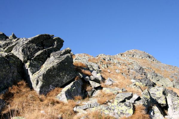 Vysoké Tatry, Kriváň, 22.10.2012
Malý Kriváň - biotop kovaříka Selatosomus confluens rugosus.


Klíčová slova: Vysoké Tatry Malý Kriváň Selatosomus confluens rugosus