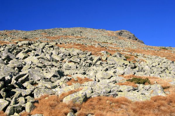 Vysoké Tatry, Kriváň, 22.10.2012
Jižní svah Malého Kriváně - biotop kovaříka Hypnoidus rivularius.



Klíčová slova: Vysoké Tatry Malý Kriváň Hypnoidus rivularius