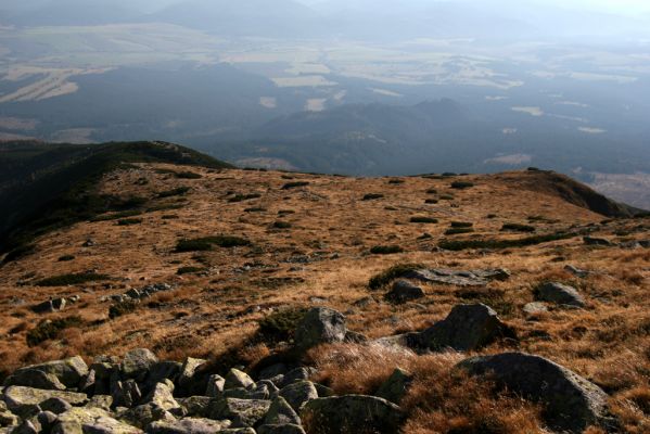 Vysoké Tatry, Kriváň, 22.10.2012
Predný Handel - biotop kovaříka Ctenicera cuprea f. brevipectinata.
Keywords: Vysoké Tatry Kriváň Predný Handel Ctenicera cuprea f. brevipectinata