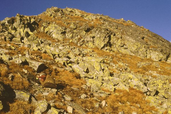 Vysoké Tatry, Kriváň, 26.10.1989
Malý Kriváň. Biotop kovaříka Selatosomus confluens rugosus.
Schlüsselwörter: Vysoké Tatry Malý Kriváň Selatosomus confluens rugosus