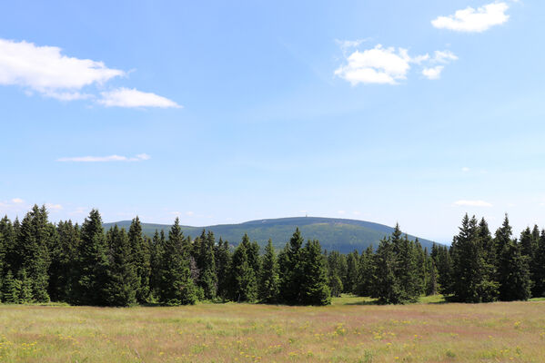 Pec pod Sněžkou, 11.7.2023
Černá hora z Liščí Louky.
Schlüsselwörter: Krkonoše Pec pod Sněžkou Lučiny Liščí hora Černá hora