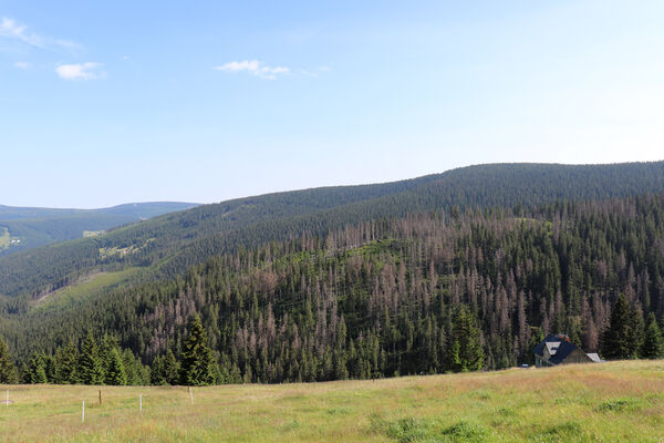 Pec pod Sněžkou, 11.7.2023
Liščí hora a Černá hora od Richtrových bud. 
Keywords: Krkonoše Pec pod Sněžkou Richtrovy boudy Liščí hora Černá hora