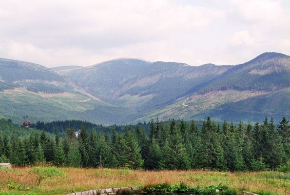Krkonoše, Sedmidolí, 18.8.2005
Pohled od Medvědí boudy na Důl Bílého Labe, Kozí hřbety a Luční horu. Zde zuří nemilosrdná lesnická válka...
Klíčová slova: Krkonoše Medvědí bouda Labský důl Kozí hřbety Luční hora lesnické války