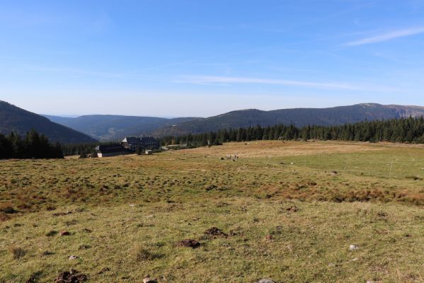 Špindlerův Mlýn, 1.10.2021
Slezské sedlo, pastvina pod Špindlerovou boudou.
Klíčová slova: Krkonoše Špindlerův Mlýn Slezské sedlo Lužická bouda pastvina