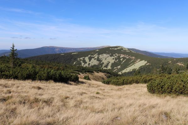 Špindlerův Mlýn, 1.10.2021
Stříbrný hřeben - pohled na Čertův důl, Malý Šišák, Kotel a Vysoké kolo.
Klíčová slova: Krkonoše Špindlerův Mlýn Stříbrný hřeben Čertův důl Malý Šišák Kotel Vysoké kolo