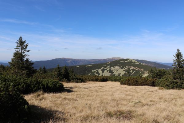 Špindlerův Mlýn, 1.10.2021
Stříbrný hřeben - pohled na Malý Šišák, Kotel a Vysoké kolo.
Klíčová slova: Krkonoše Špindlerův Mlýn Stříbrný hřeben Malý Šišák Kotel Vysoké kolo