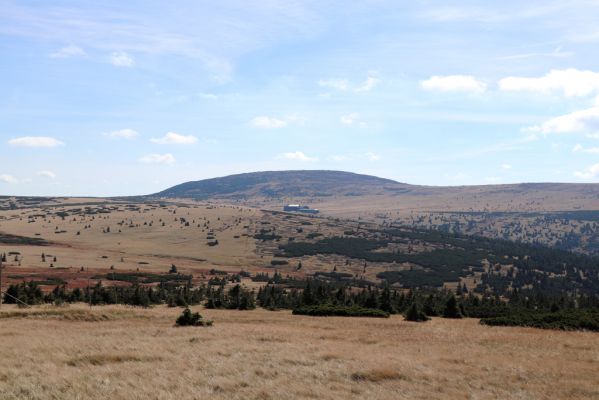 Špindlerův Mlýn, 1.10.2021
Čertovo návrší - pohled na Stříbrné návrší a Studniční horu.
Klíčová slova: Krkonoše Špindlerův Mlýn Stříbrné návrší Čertovo návrší Studniční hora