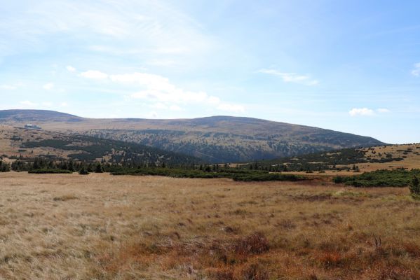 Špindlerův Mlýn, 1.10.2021
Čertova louka - pohled na Luční horu.
Mots-clés: Krkonoše Špindlerův Mlýn Čertova louka Luční hora