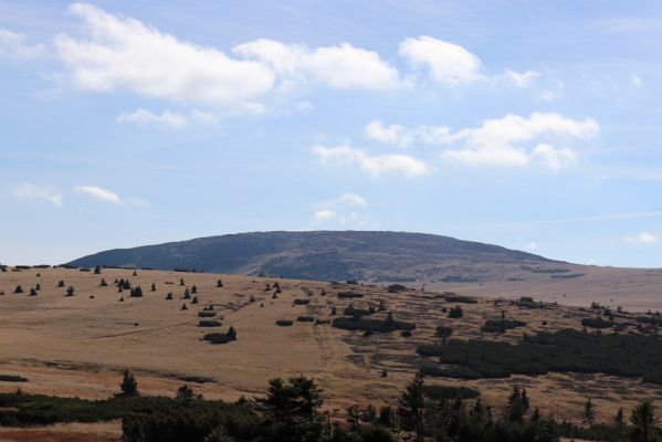 Špindlerův Mlýn, 1.10.2021
Čertovo návrší - pohled na Stříbrné návrší a Studniční horu.
Klíčová slova: Krkonoše Špindlerův Mlýn Stříbrné návrší Čertovo návrší Studniční hora