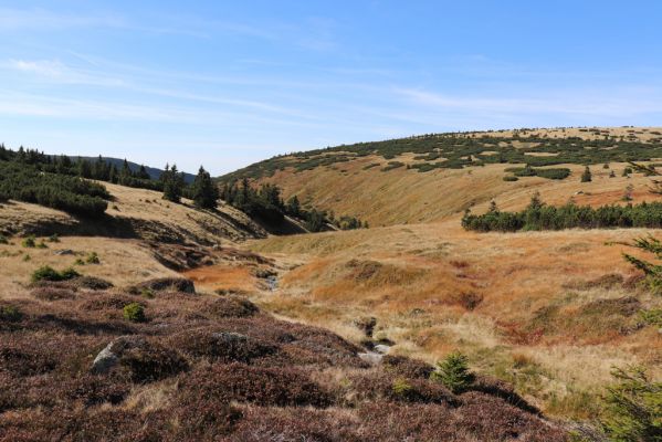 Špindlerův Mlýn, 1.10.2021
Čertova louka - Stříbrná bystřina a Stříbrná stráň.
Mots-clés: Krkonoše Špindlerův Mlýn Čertova louka Stříbrná bystřina Stříbrná stráň