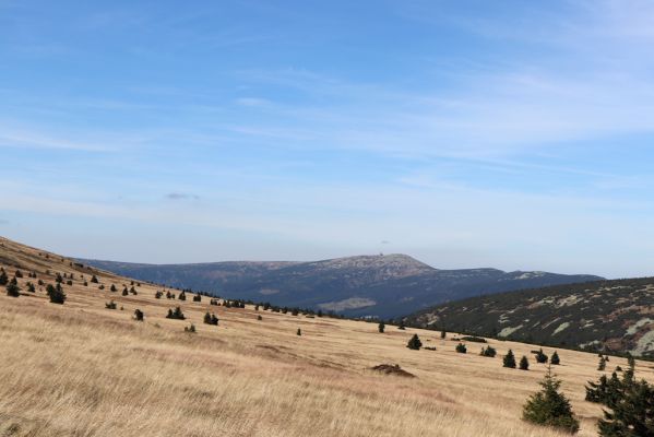 Pec pod Sněžkou, 1.10.2021
Studniční hora, Modré sedlo - pohled Bílou louku a Vysoké kolo.
Klíčová slova: Krkonoše Pec pod Sněžkou Studniční hora Bílá louka Vysoké kolo