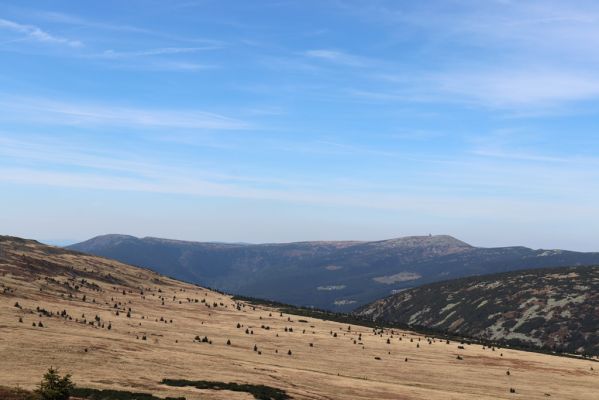Pec pod Sněžkou, 1.10.2021
Studniční hora - pohled na Kotel a Vysoké kolo.
Klíčová slova: Krkonoše Pec pod Sněžkou Studniční hora Kotel Vysoké kolo Studniční hora