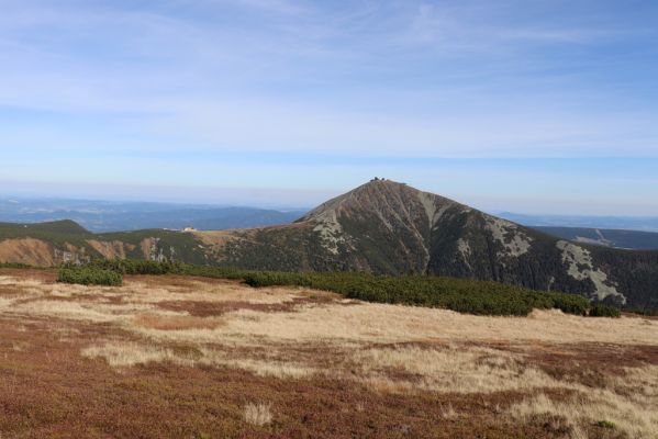 Pec pod Sněžkou, 1.10.2021
Studniční hora - pohled na Sněžku.
Keywords: Krkonoše Pec pod Sněžkou Studniční hora Sněžka