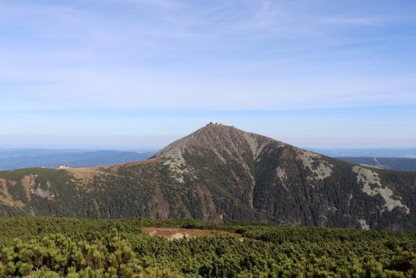 Pec pod Sněžkou, 1.10.2021
Studniční hora - pohled na Sněžku.
Keywords: Krkonoše Pec pod Sněžkou Studniční hora Sněžka