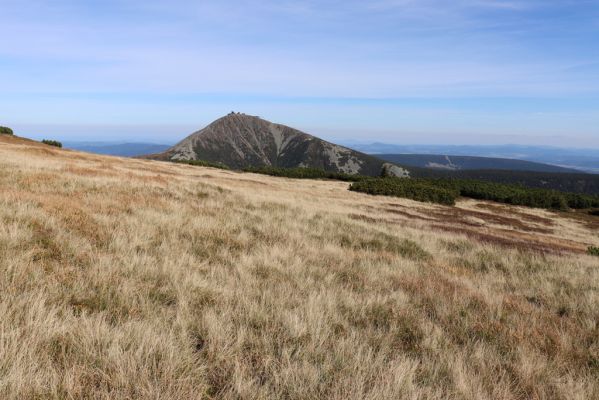 Pec pod Sněžkou, 1.10.2021
Studniční hora - pohled na Sněžku.
Klíčová slova: Krkonoše Pec pod Sněžkou Studniční hora Sněžka