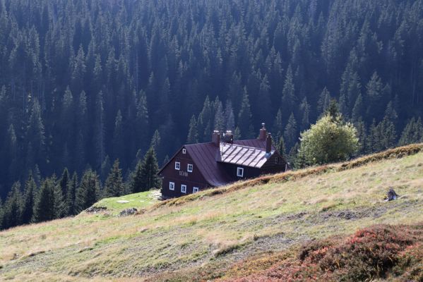 Pec pod Sněžkou, 1.10.2021
Modrý důl, Studniční boudy - Děvín.
Schlüsselwörter: Krkonoše Pec pod Sněžkou Modrý důl Studniční boudy Děvín