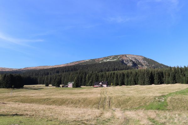 Pec pod Sněžkou, 1.10.2021
Studniční hora z Modrého dolu.
Klíčová slova: Krkonoše Pec pod Sněžkou Modrý důl Studniční hora