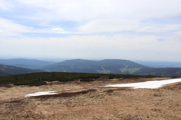 Pec pod Sněžkou, 1.6.2023
Černá hora ze Studniční hory.
Keywords: Krkonoše Pec pod Sněžkou Studniční hora Hypnoidus consobrinus