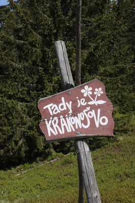 Pec pod Sněžkou, 1.6.2023
Modrý důl - Studniční Boudy.
Keywords: Krkonoše Pec pod Sněžkou Studniční hora Modrý důl Studniční Boudy