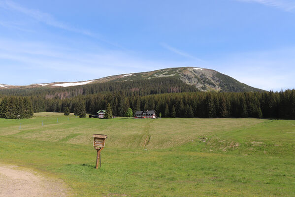 Pec pod Sněžkou, 1.6.2023
Studniční hora z Modrého dolu.
Keywords: Krkonoše Pec pod Sněžkou Studniční hora Modrý důl