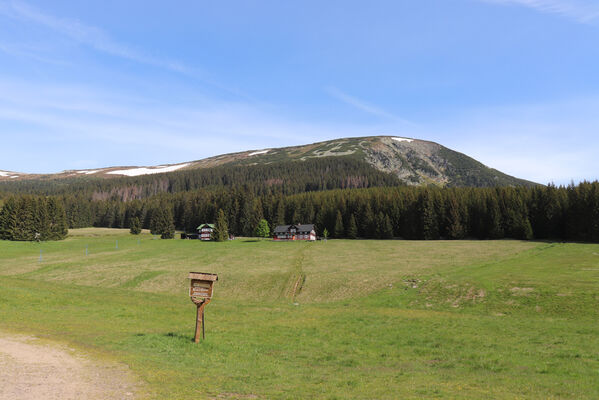 Pec pod Sněžkou, 1.6.2023
Studniční hora z Modrého dolu.
Mots-clés: Krkonoše Pec pod Sněžkou Studniční hora Modrý důl