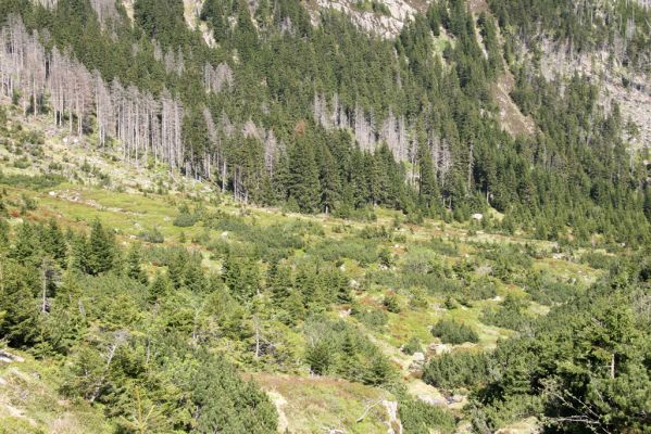 Krkonoše, Obří důl, 21.5.2014
Pohled od Čertova ručeje do Úpské jámy.



Klíčová slova: Krkonoše Obří důl Čertův ručej Úpská jáma