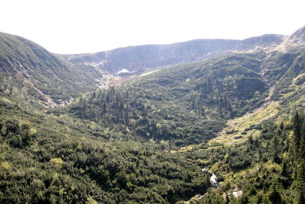 Krkonoše, Obří důl, 21.5.2014
Pohled u Úpské jáma na Čertův ručej a Sněžnou strouhu.
Schlüsselwörter: Krkonoše Obří důl Úpská jáma Studniční hora Čertův ručej Sněžná strouha