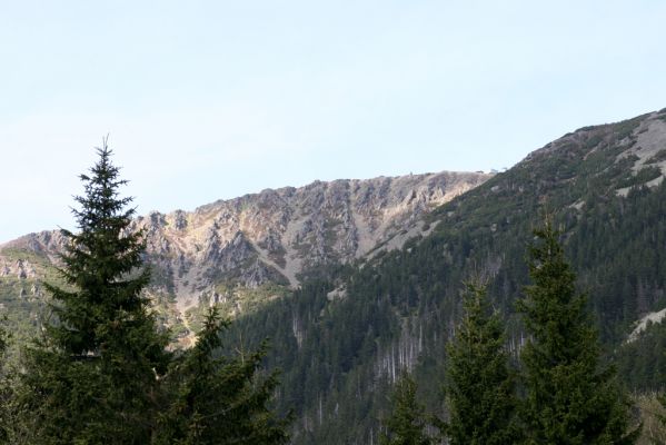 Krkonoše, Obří důl, 21.5.2014
Pohled na Sněžku z údolí pod bývalou Kovárnou.
Klíčová slova: Krkonoše Obří důl Kovárna