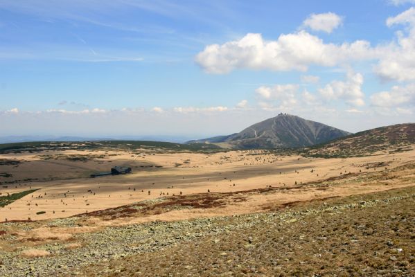 Krkonoše, Luční hora, 21.5.2014
Severní svah - pohled na Sněžku.
Klíčová slova: Krkonoše Luční hora Sněžka Luční bouda Ctenicera cuprea Hypnoidus consobrinus
