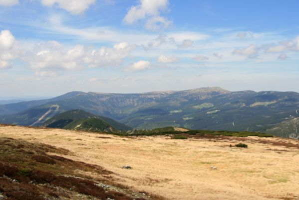 Krkonoše, Luční hora, 21.5.2014
Pohled na Kotel a Vysoké Kolo
Klíčová slova: Krkonoše Luční hora Kotel Vysoké Kolo Ctenicara cuprea