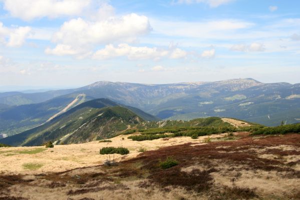 Krkonoše, Luční hora, 21.5.2014
Pohled na Kozí Hřbety, Kotel a Vysoké Kolo.
Klíčová slova: Krkonoše Luční hora Kozí Hřbety Kotel Vysoké Kolo Ctenicera cuprea