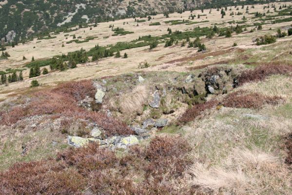 Krkonoše, Luční hora, 21.5.2014
Severní svah. Díra v zemi je nejšpíše pozůstatek po německé okupaci.
Schlüsselwörter: Krkonoše Luční hora