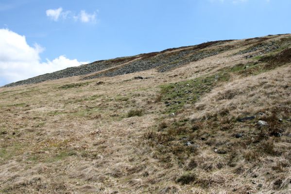 Krkonoše, Luční hora, 21.5.2014
Severní svah Luční hory. 

Klíčová slova: Krkonoše Luční hora Ctenicera cuprea Hypnoidus consobrinus Liotrichus affinis