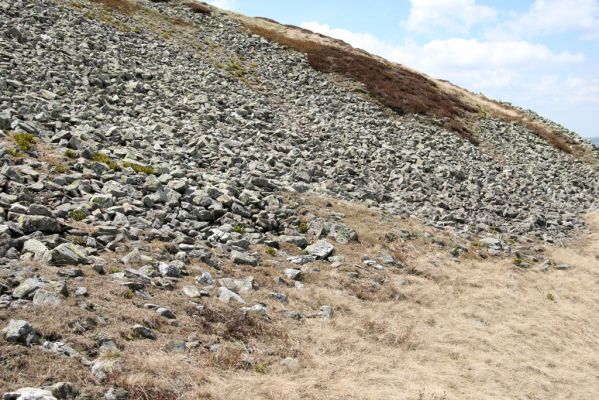 Krkonoše, Luční hora, 21.5.2014
Suťoviště na severním svahu Luční hory. Biotop kovaříků Ctenicera cuprea, Hypnoidus consobrinus a Liotrichus affinis.



Mots-clés: Krkonoše Luční hora Ctenicera cuprea Hypnoidus consobrinus Liotrichus affinis