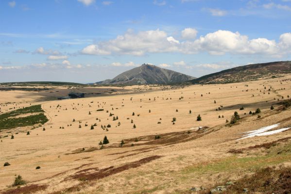 Krkonoše, Luční hora, 21.5.2014
Pohled ze severního svahu na Bílou louku, Luční boudu a Sněžku.



Klíčová slova: Krkonoše Luční hora Bílá louka Luční bouda Sněžka Ctenicera cuprea