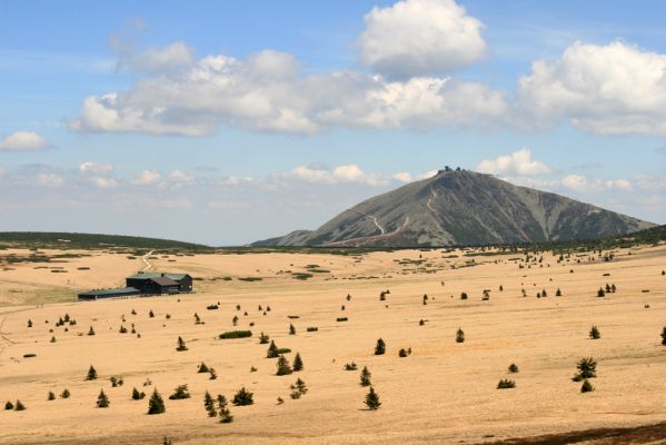 Krkonoše, Luční hora, 21.5.2014
Pohled ze severního svahu na Bílou louku, Luční boudu a Sněžku.
Klíčová slova: Krkonoše Luční hora Bílá louka Luční bouda Sněžka Ctenicera cuprea