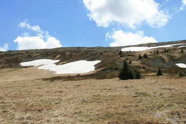 Krkonoše, Bílá louka, 21.5.2014
Sněhová pole na severním svahu Luční hory.
Schlüsselwörter: Krkonoše Bílá louka Luční hora