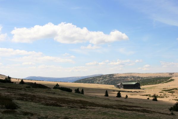 Krkonoše, Studniční hora, 21.5.2014
Pohled ze severního svahu na Luční boudu. V pozadí Kotel a Vysoké Kolo.
Klíčová slova: Krkonoše Studniční hora Luční bouda